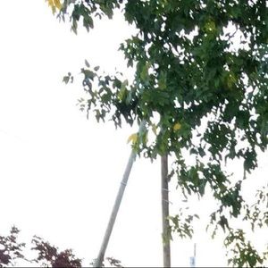 Meet your Posher, Karina